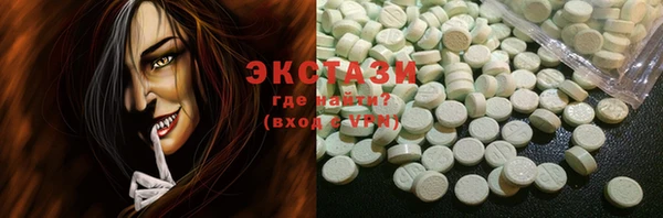 ECSTASY Богданович