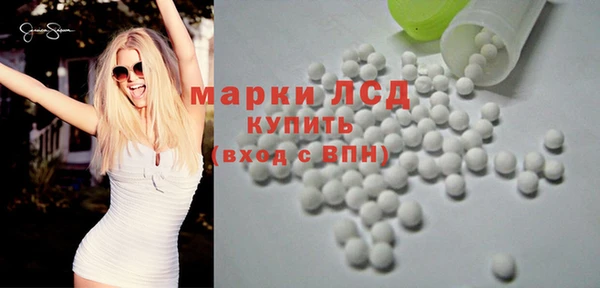 ECSTASY Богданович
