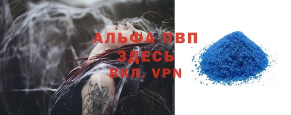 ECSTASY Богданович