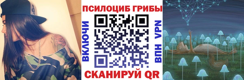 Псилоцибиновые грибы Psilocybine cubensis Городище